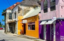 Full-Day Natural Heritage Tour in Barbados with Lunch