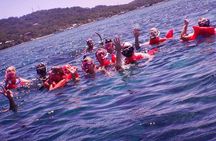 Private Chocolate & Rumfactory Tour Snorkeling CoralReef WestEnd 
