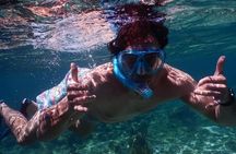 Private Chocolate & Rumfactory Tour Snorkeling CoralReef WestEnd 