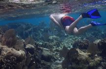 Private Chocolate & Rumfactory Tour Snorkeling CoralReef WestEnd 