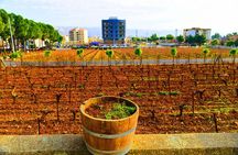 4 Nights Lebanon Holiday Package