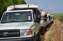 Adventure Safari 