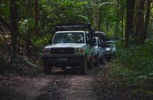 Adventure Safari 