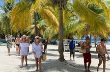 Full Day Tour to Isla Saona and Altos de Chavon