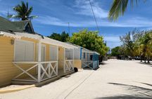 Full Day Tour to Isla Saona and Altos de Chavon