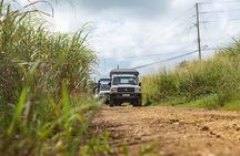 Discovery Safari