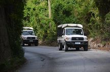 Discovery Safari