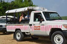 Discovery Safari