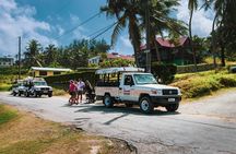 Discovery Safari
