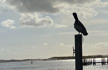 Private Sunset and Dolphin Cruise in Destin-Up to 16 Guests