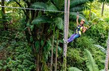 Big Island Zipline Adventure