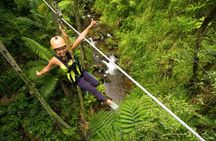 Big Island Zipline Adventure