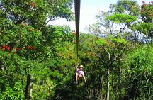 Big Island Zipline Adventure