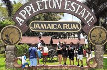 Appleton Estate Rum Factory And YS Falls Inclusive Tours From Montego Bay 