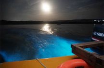 Bioluminescent Private Night Tours From Montego Bay 