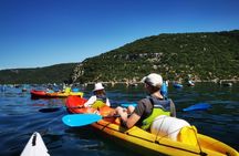Kayaking Experience in Lim Bay Sea in The Croatian Fjord