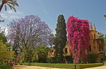 Exclusive Alcazar with breakfast or afternoon coffee in gardens