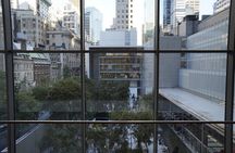 Guided Admission to Modern Art and Metropolitan Museums in NYC
