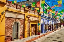 La Paz and Todos Santos Day Trip with Lunch