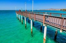 La Paz and Todos Santos Day Trip with Lunch