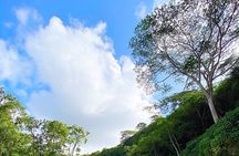 Kauai Adventure: Kayak & Hike to Secret Falls with Expert Guide