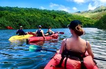 Kauai Adventure: Kayak & Hike to Secret Falls with Expert Guide