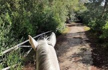 Horse ride in a Salento Nature Reserve with transfer from Lecce