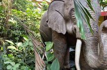 Private Half Day Tour To The Zoo In Giza