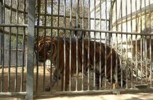 Private Half Day Tour To The Zoo In Giza