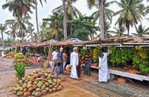Salalah City Tour: Discover Salalahs Treasures with a Local Guide