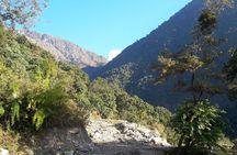 Manaslu Circuit Lodge Trekking Tour