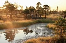 Sunrise at Kemeri National Park