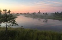 Sunrise at Kemeri National Park