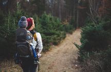 Family-Friendly Nature Hike around the Big Bear Valley