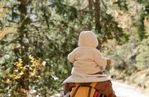 Family-Friendly Nature Hike around the Big Bear Valley