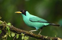 La Fortuna Combination Tour With Lunch 3 in 1 
