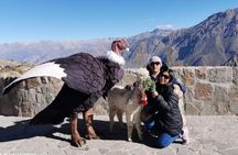 Colca Trekking Adventure 2 days / 1 night