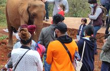 Private Wildlife Care, Art, Music and Culture with @Senyorcjeys 