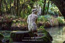 Guided tour of the Royal Palace of Caserta with an art expert
