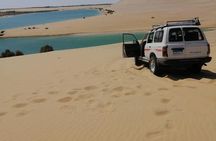 Valley of Whales and Wadi El Rayan Water Falls Private Tour