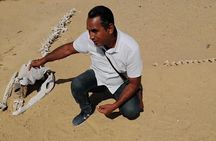 Valley of Whales and Wadi El Rayan Water Falls Private Tour