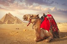 Pyramids Of Giza, Camel Ride And The Museum Of Egyptian Antiques - Private