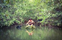 Kayak Adventure in Cancun