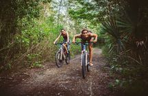 3 Cenotes Bike Adventure Private Tour from Tulum