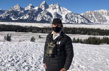 Luxury 1/2 Day Winter Grand Teton Tour & Sleigh Ride