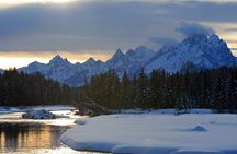 Luxury 1/2 Day Winter Grand Teton Tour & Sleigh Ride