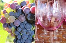 Guided Bike Tour on Historical Kettle Valley Railway at Myra Canyon & Wine Tour
