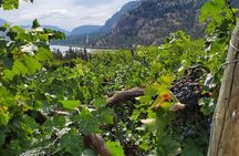 Okanagan Falls Private Wine Tour - Full Day
