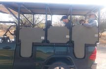 3-Day Johannesburg Tour with Pilanesberg National Park Safari
