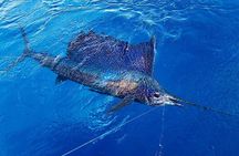 Full Day Fishing Charter - Inshore or Offshore